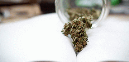 Anindya Sen - The increasing costs of apathy towards marijuana legalization