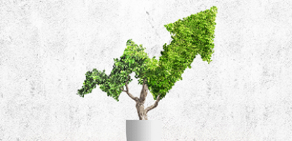Conference Report - Sustainable Green Finance