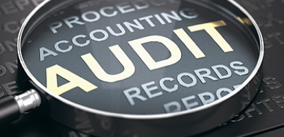 Assessing the Canada Revenue Agency: Evidence on Tax Auditors’ Incentives and Assessments