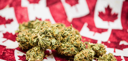 Rosalie Wyonch - The Federal Government Got Marijuana Taxes (almost) Right