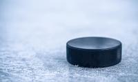 Hockey puck