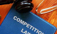 Paul-Erik Veel – Implications of an Empirical Analysis of Competition Tribunal Cases