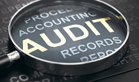 Assessing the Canada Revenue Agency: Evidence on Tax Auditors’ Incentives and Assessments