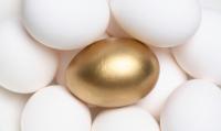 Comparing Nest Eggs: How CPP Reform Affects Retirement Choices