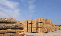 Rick Ekstein - Softwood Lumber and the Forgotten Value-Added Sector